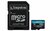 Kingston Technology microSDXC 256GB | Canvas Go! Plus Gen4 | 200MB/s | A2 | U3 | V30 | + Adapter
