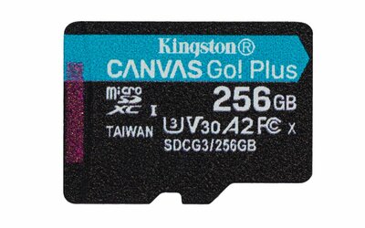 Kingston Technology Canvas Go! Plus 256 GB MicroSD UHS-I Klasse 10