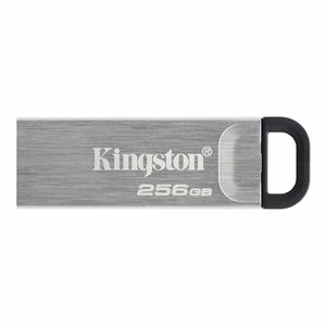 Kingston Technology DataTraveler Kyson USB flash drive 256 GB USB Type-A 3.2 Gen 1 (3.1 Gen 1) Zilver