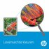 HP 302 | Originele Cyaan/Magenta/Geel Inktcartridge | 1 Stuk_