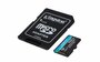 Kingston Technology Canvas Go! Plus 512 GB MicroSD UHS-I Klasse 10_