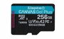 Kingston Technology Canvas Go! Plus 256 GB MicroSD UHS-I Klasse 10_