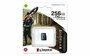 Kingston Technology Canvas Go! Plus 256 GB MicroSD UHS-I Klasse 10_